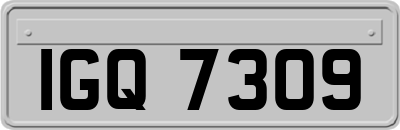IGQ7309