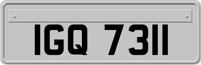 IGQ7311