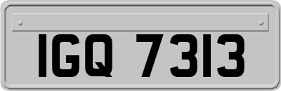 IGQ7313