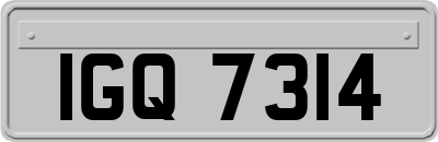 IGQ7314