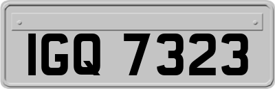 IGQ7323
