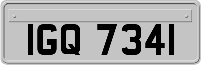 IGQ7341