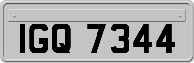 IGQ7344