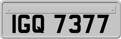 IGQ7377