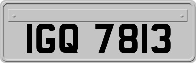 IGQ7813