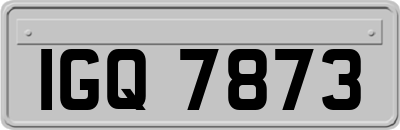 IGQ7873