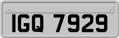 IGQ7929