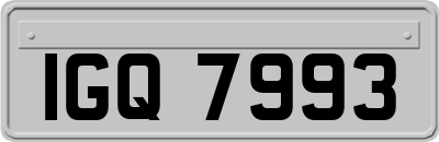 IGQ7993
