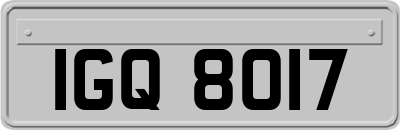 IGQ8017