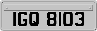 IGQ8103