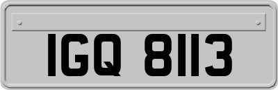 IGQ8113