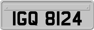 IGQ8124