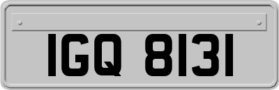 IGQ8131