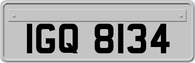 IGQ8134