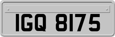 IGQ8175