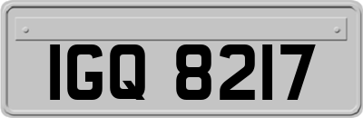 IGQ8217