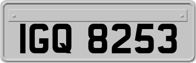 IGQ8253