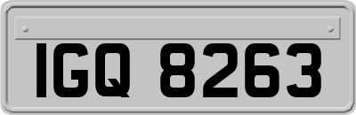 IGQ8263