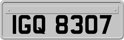 IGQ8307
