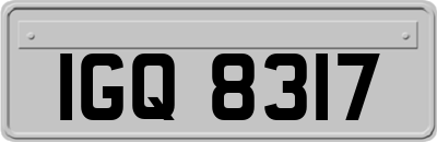 IGQ8317