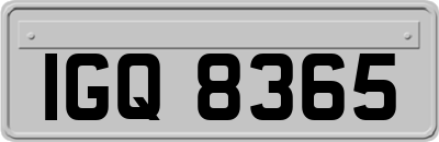 IGQ8365