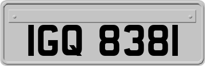 IGQ8381