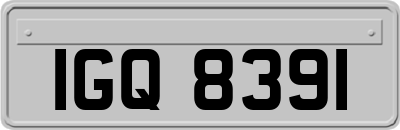 IGQ8391