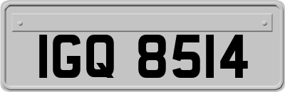 IGQ8514