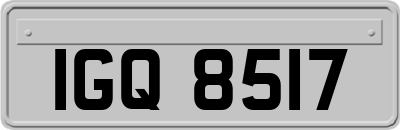 IGQ8517