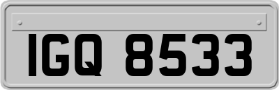IGQ8533