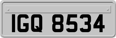 IGQ8534