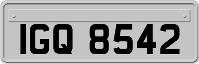 IGQ8542