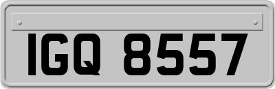 IGQ8557