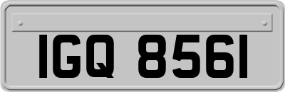 IGQ8561