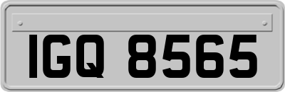 IGQ8565