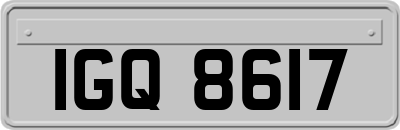 IGQ8617