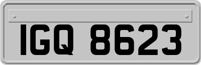 IGQ8623
