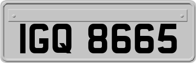IGQ8665