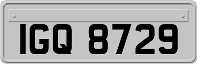 IGQ8729