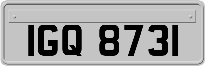 IGQ8731