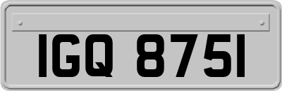 IGQ8751