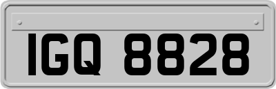 IGQ8828