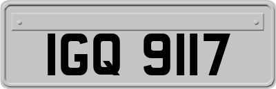 IGQ9117