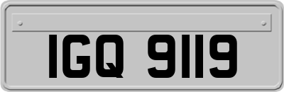 IGQ9119
