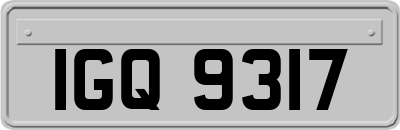 IGQ9317