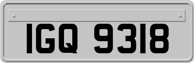 IGQ9318