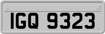 IGQ9323