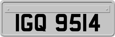 IGQ9514