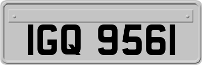 IGQ9561