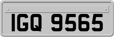 IGQ9565